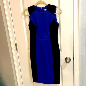 Calvin Klein Royal Blue - Black Suede Panel Dress